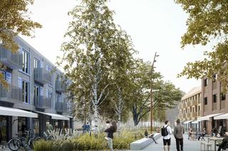 Nowego Centrum Hajnówki 