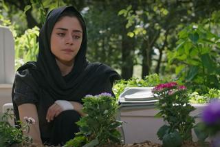 Emanet, odcinek 313. Streszczenie 