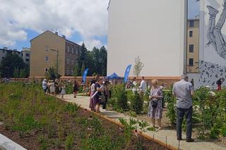 Otwarcie Parku im. Wisławy Szymborskiej w Krakowie