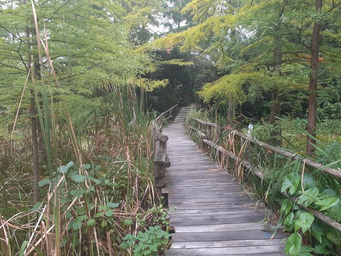 Arboretum Bolestraszyce