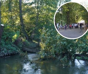 Tydzień temu zagrożenie powodziowe, teraz tłumy spokojnie spacerujących spacerowiczów w Pszczynie ZDJĘCIA