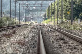 Dolny Śląsk: Ponad 20 nieużywanych dziś linii kolejowych chce przejąć od PKP samorząd województwa [AUDIO]
