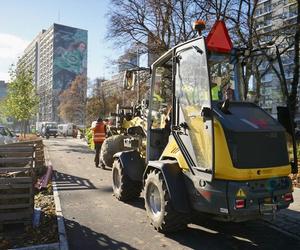 Trwa sadzenie 63 drzew na Marszałkowskiej. Przebudowa ulicy dobiega końca