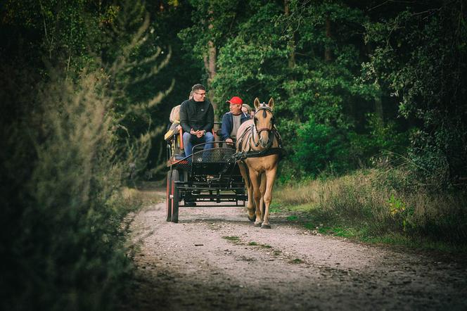 Wypadek dorożki w Dolinie Kościeliskiej. Fiakr straci licencję