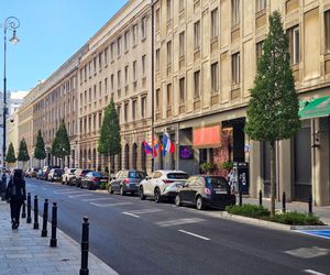 Nowe drzewa na ul. Mazowieckiej