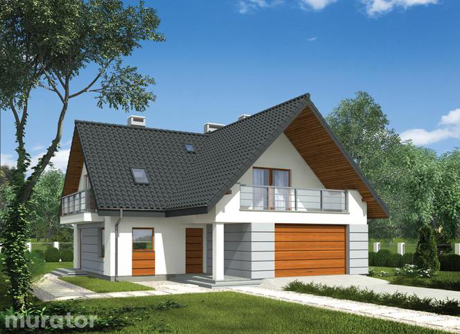 Projekty domów dla dużej rodziny
