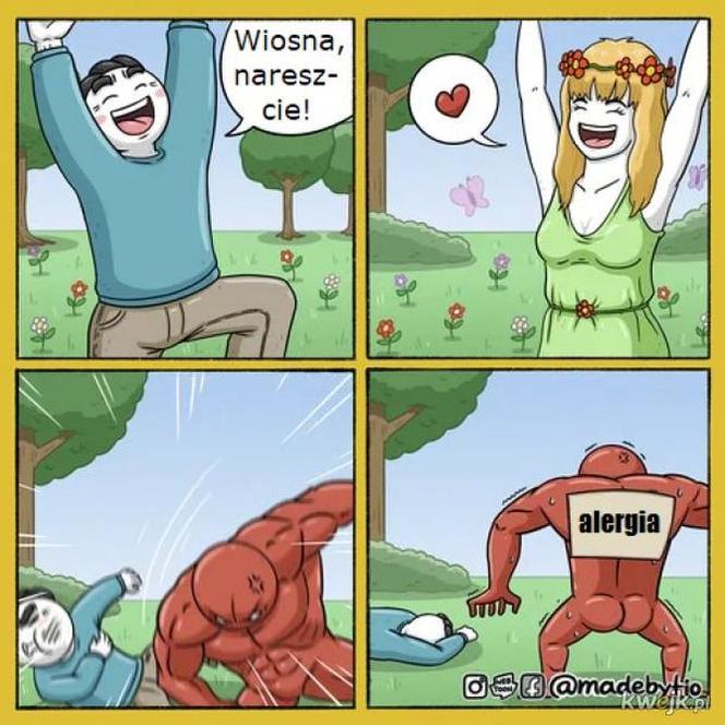 Pierwszy Dzień Wiosny - memy