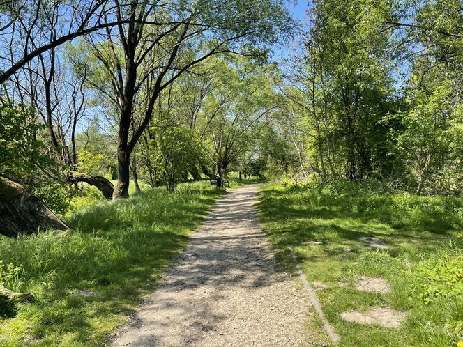 Najdłuższy park w Polsce jest w Krakowie. Ledwo widać go na mapach, a jest pełen atrakcji