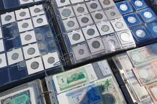 Targi staroci w Rzeszowie przyciągnęły tłumy [GALERIA]