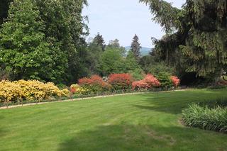 Arboretum Wojsławice prezentuje pełną paletę barw