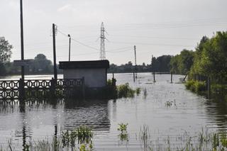 Powódź, Kalisz: W nocy podniósł się poziom Swędrni, podtopione są domy i ulice
