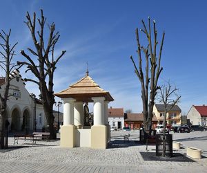 To jedno z najmniejszych miast w Małopolsce. Jedna decyzja papieża sprawiła, że stało się sławne