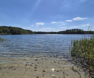 To jezioro w Olsztynie ma niezwykle czystą wodę. Jest kilka dzikich plaż, które świecą pustkami
