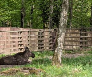 To najlepsze atrakcje dla dzieci w woj. podlaskim. Takiego wyboru dokonała AI