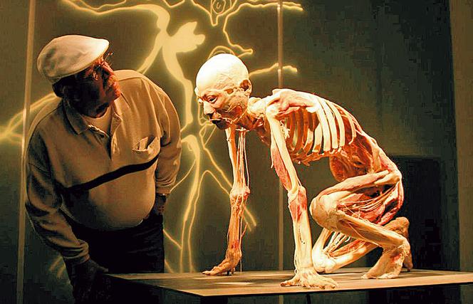 Niezapomniana wędrówka po ludzkim organizmie