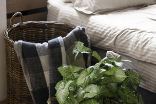 Ciepły beż, powrót do natury i pochwała tradycyjnego rzemiosła. Te trendy wnętrzarskie będą obowiązywać w nadchodzącym roku