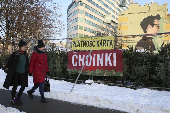 Horrendalne ceny żywych choinek w Warszawie