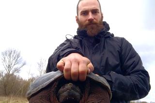 Bestia z Ameryki siała postrach pod Grójcem. Interweniowali ekolodzy