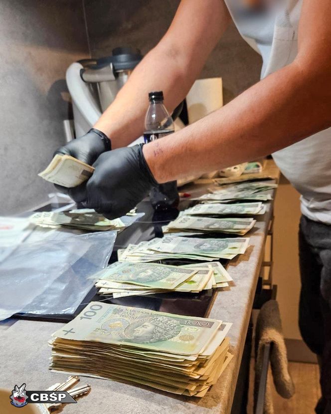 Akcja CBŚP. Pseudokibic zatrzymany