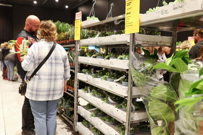 Festiwal roślin odbywa się w Katowicach