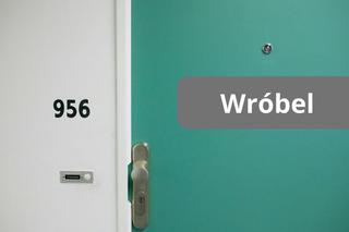 Najpopularniejsze nazwiska na Podkarpaciu