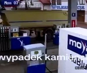 Pas od tira uderzył kobietę prosto w głowę. Wszystko widać na nagraniu