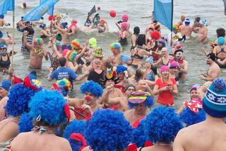 Morsy opanowały Mielno. Przyjechali tutaj z różych zakątków Europy