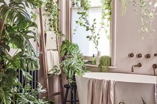 Bluszcz i inne rośliny w łazience