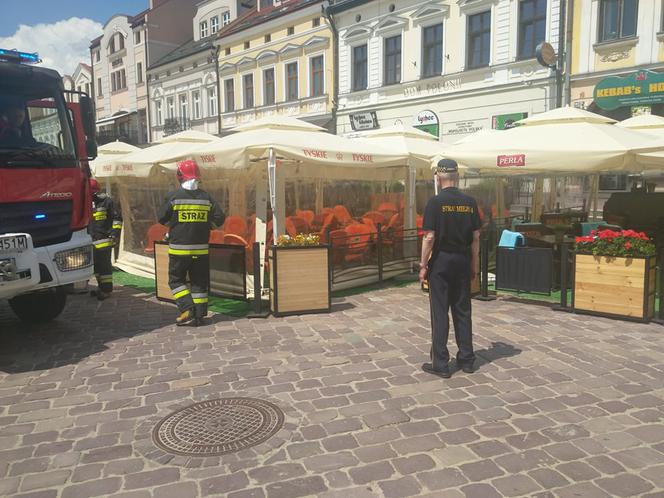 Rój pszczół na Rynku w Rzeszowie