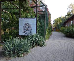 Zoo w Zamościu