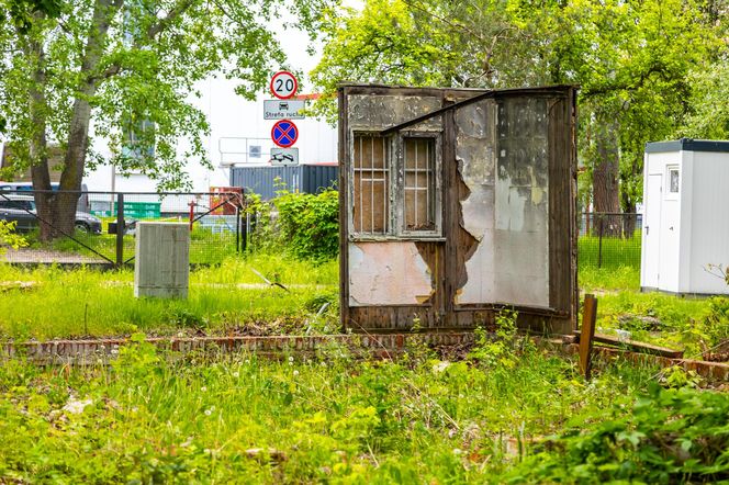 Domki fińskie na Polu Mokotowskim w trakcie odbudowy