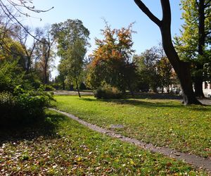 Złota polska jesień w parku na Bronowicach w Lublinie