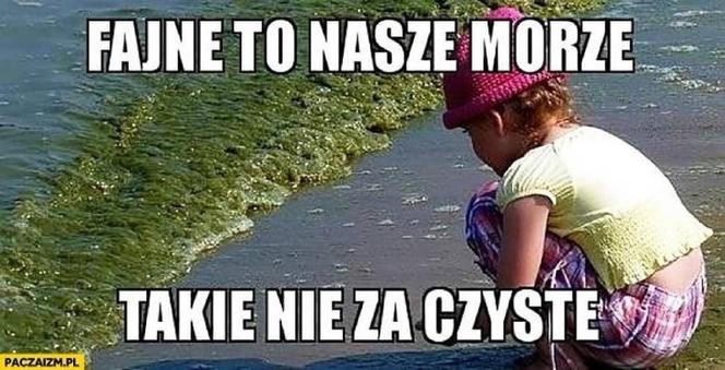 Wakacje rozpoczęte! Polacy ruszyli na plaże! Zobacz najlepsze MEMY!