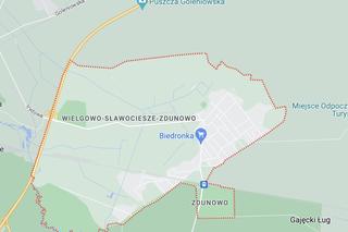Gdzie na grzyby w Szczecinie?