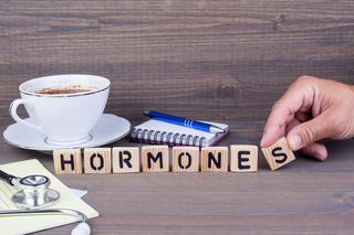 Układ hormonalny - budowa i funkcje