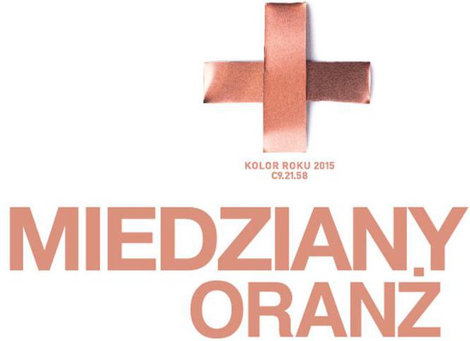 Miedziany oranż najmodniejszym kolorem ścian w 2015 roku