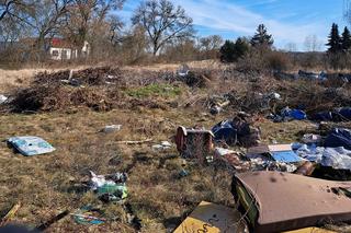 Tona śmieci na działkach pod Gorzowem. Burza w sieci