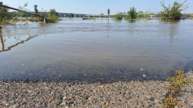 Monitorują i pakują worki z piaskiem. Powiat górowski przygląda się Odrze