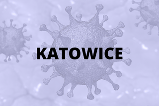 Katowice - 220 zakażeń