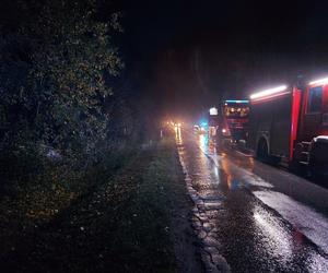 Wypadek w LESIE RZEPIŃSKIM, Mercedes i BMW w rowach. Za kierownicą młodzi ludzie