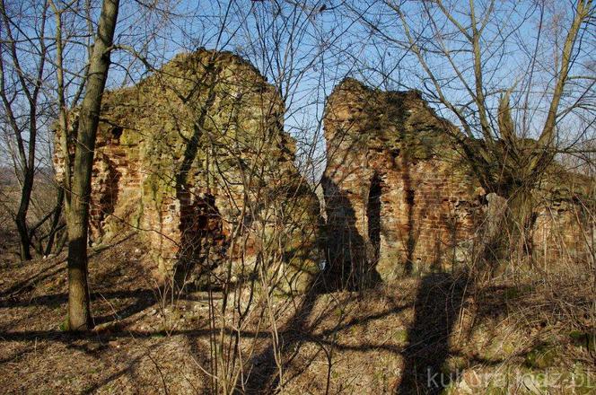 Piękne i przerażające… Jakie historie kryją bełchatowskie dwory? 