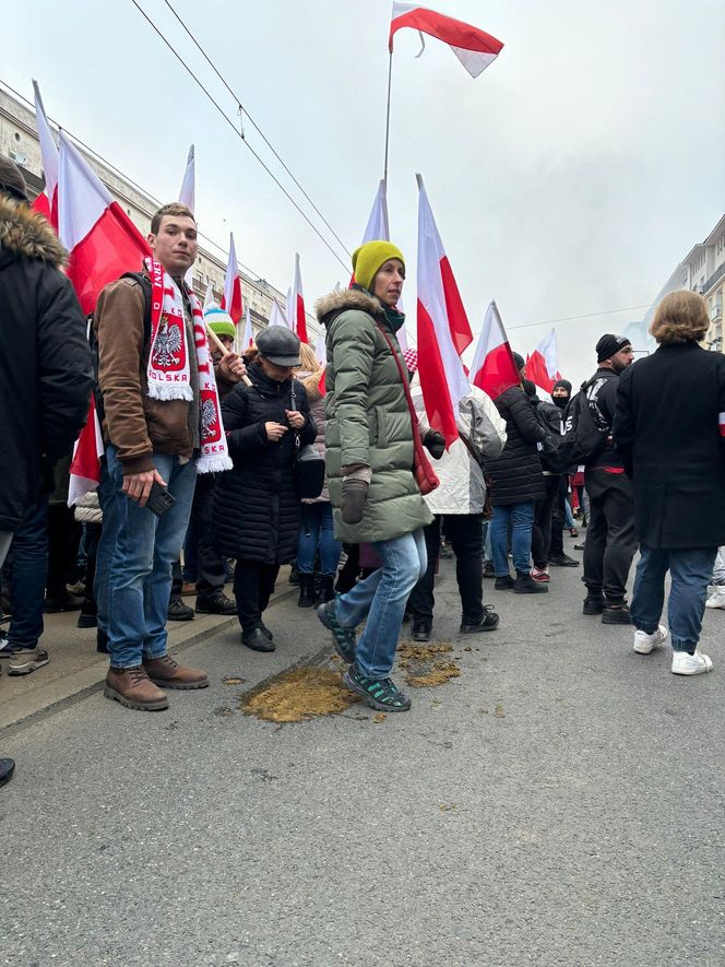 Dlaczego na Marszu Niepodległości 2024 w Warszawie tak śmierdziało? Końskie łajno to nie wszystko