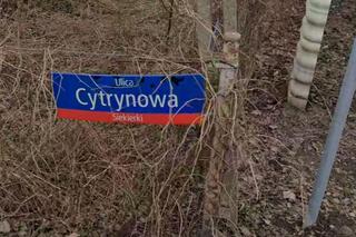 Oto najsmaczniejsze ulice w Warszawie