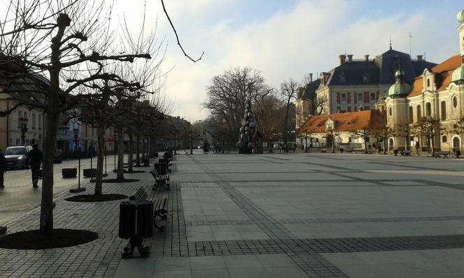 Rynek w Pszczynie