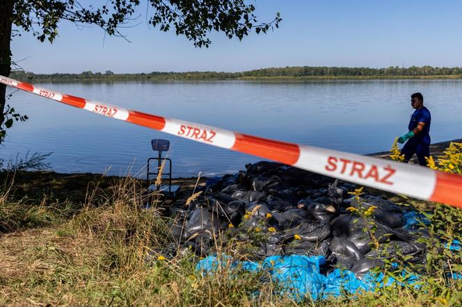 Ponad 70 ton śniętych ryb odłowiono w 12 dni. W jeden dzień padł koszmarny rekord