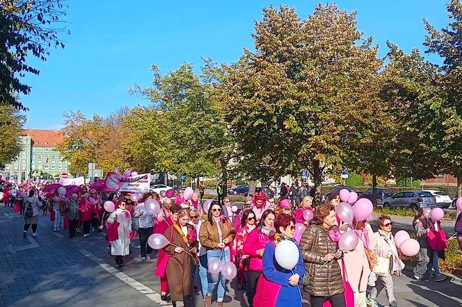 Marsz Różowej Wstążki w Szczecinie