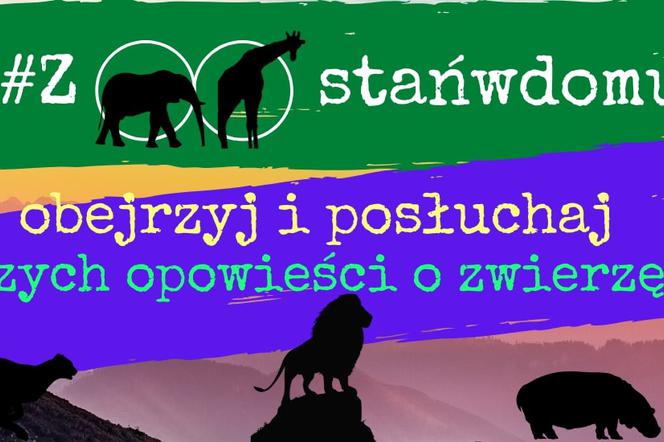 Zwiedzaj warszawskie zoo online
