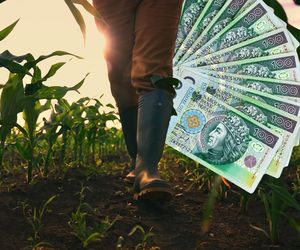 Rolnicy czekają na zwrot pieniędzy. Minister odpowiada