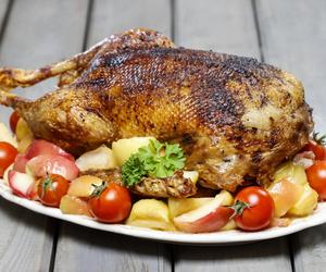 Gęś pieczona z jabłkami à la Magda Gessler – smak prosto z Karczmy Gę Gę Gę