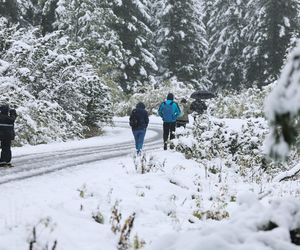 Śnieg w Tatrach. TOPR ogłosił pierwszy stopień zagrożenia lawinowego